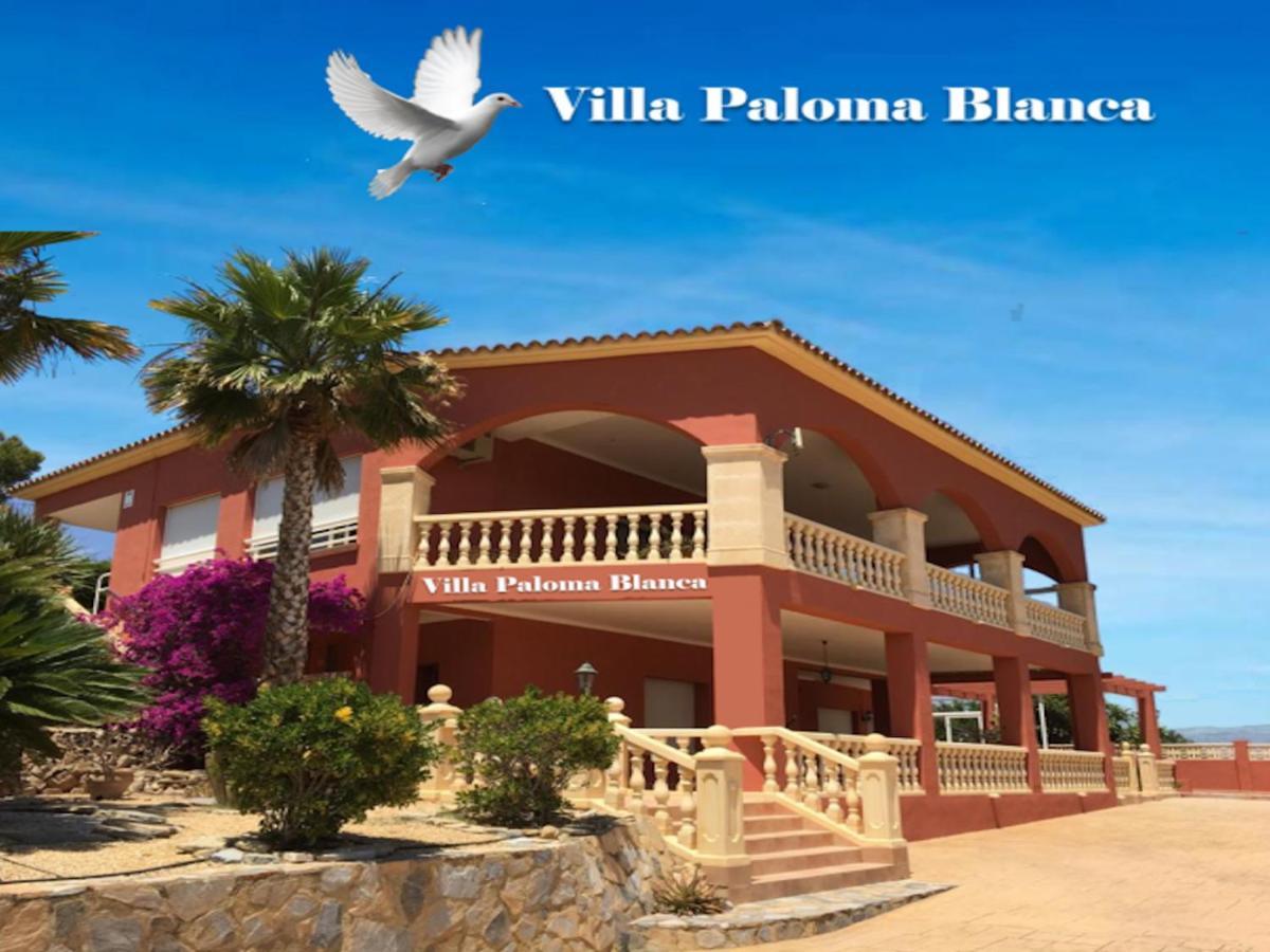 Villa Paloma Blanca El Albir Eksteriør billede