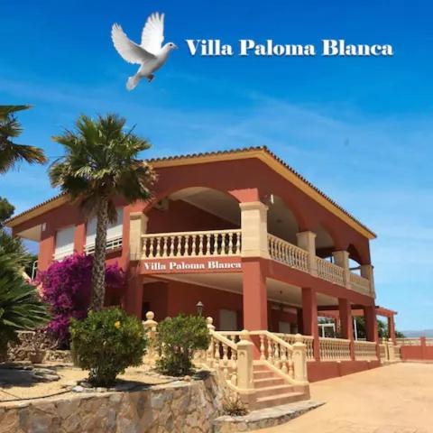 Villa Paloma Blanca El Albir Eksteriør billede